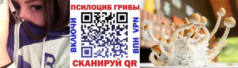 хочу   Георгиевск  Псилоцибиновые грибы GOLDEN TEACHER 