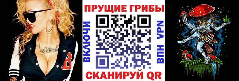 Псилоцибиновые грибы ЛСД Георгиевск
